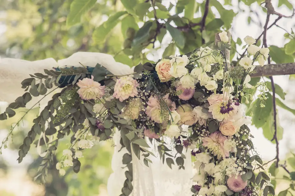 Fleurs de Celle — photo 2