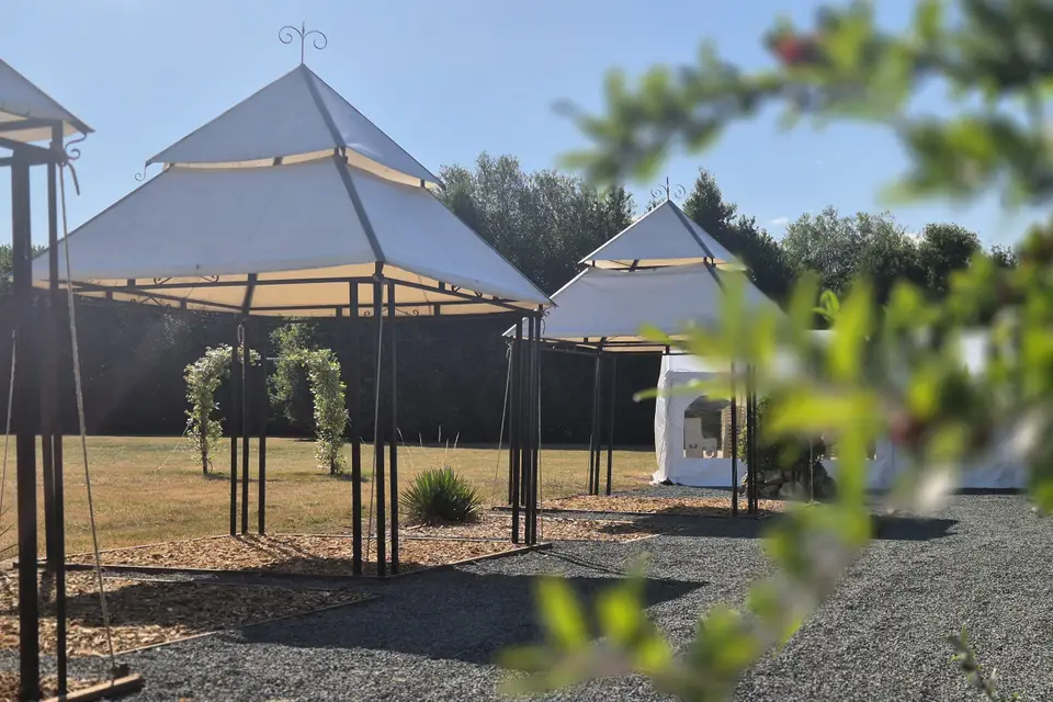 Le Grand Chêne — photo 6