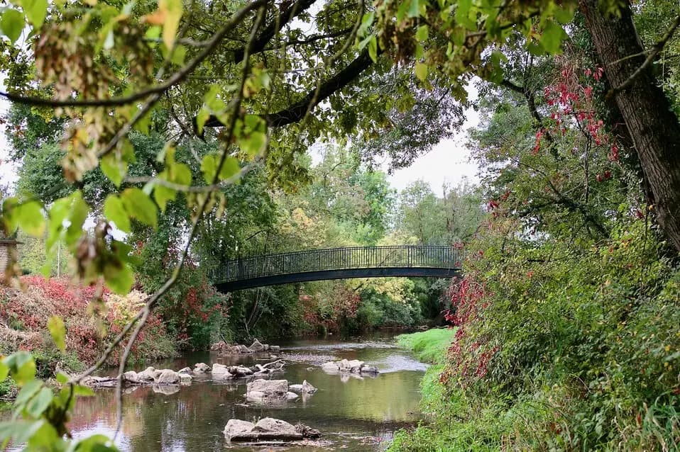 Forest Prod — photo 8