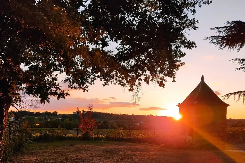 Château Lartigue Cèdres — photo 3