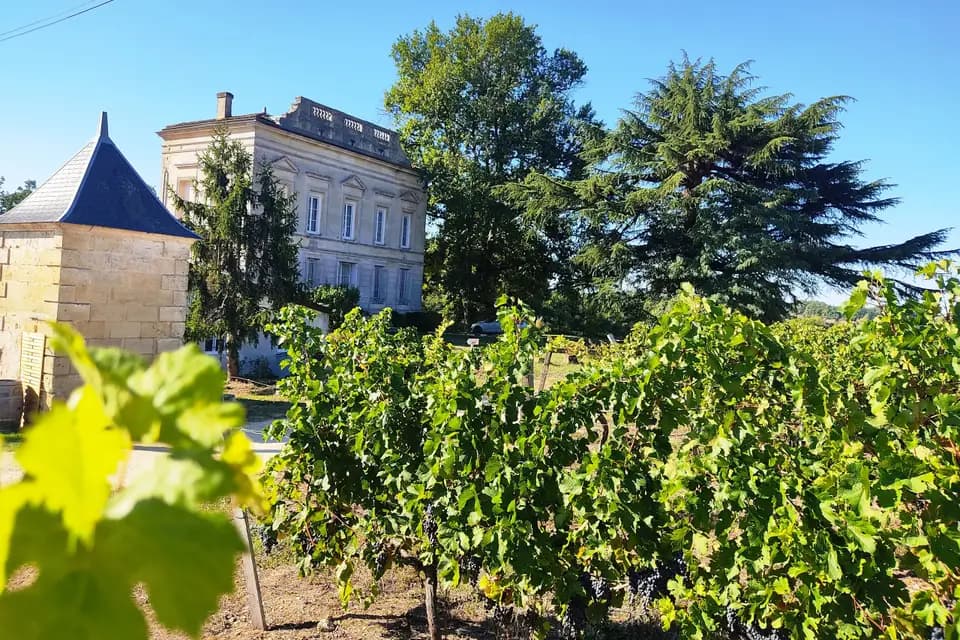 Château Lartigue Cèdres — photo 1