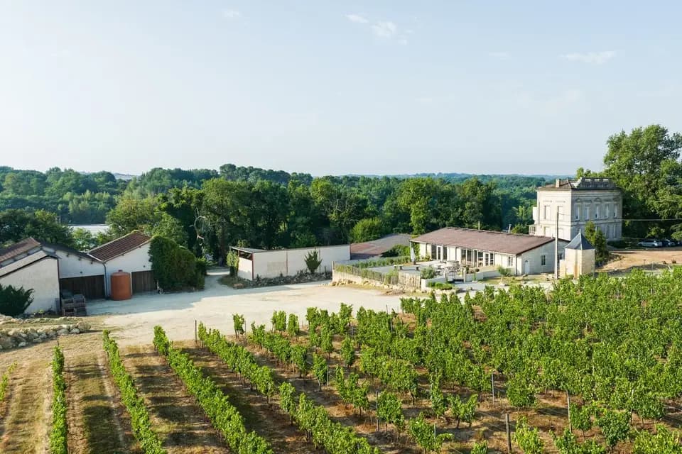 Château Lartigue Cèdres — photo 2