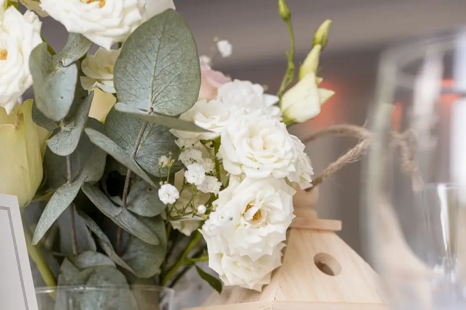 Céline Caudal Photographe — photo 7