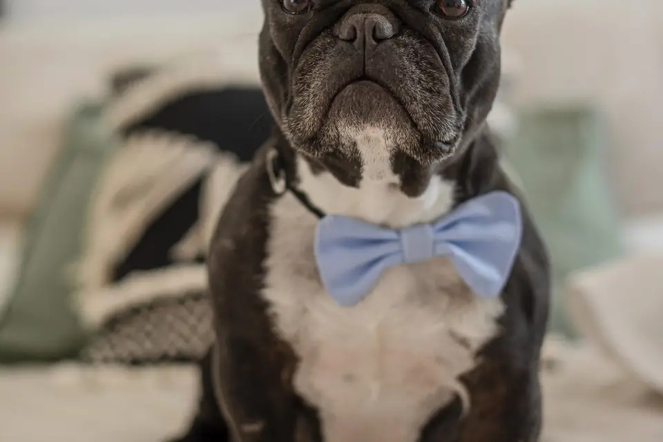 Céline Caudal Photographe — photo 6