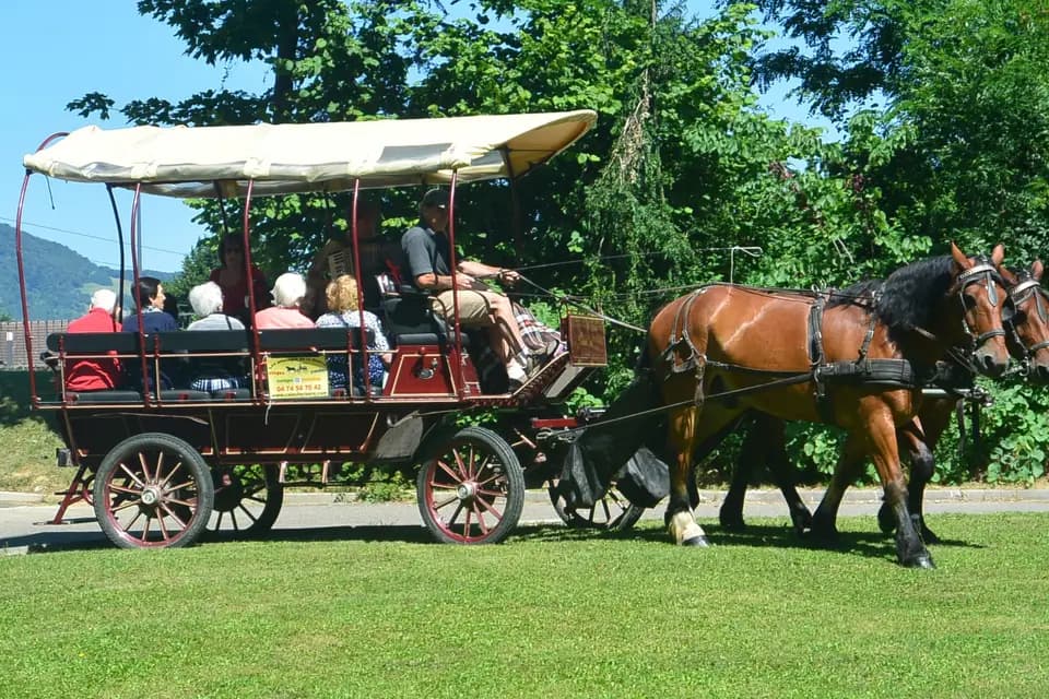 Les Attelages de la Bièvre — photo 3