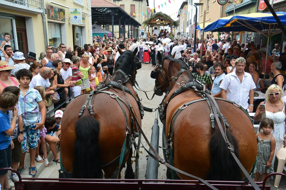 Les Attelages de la Bièvre — photo 4