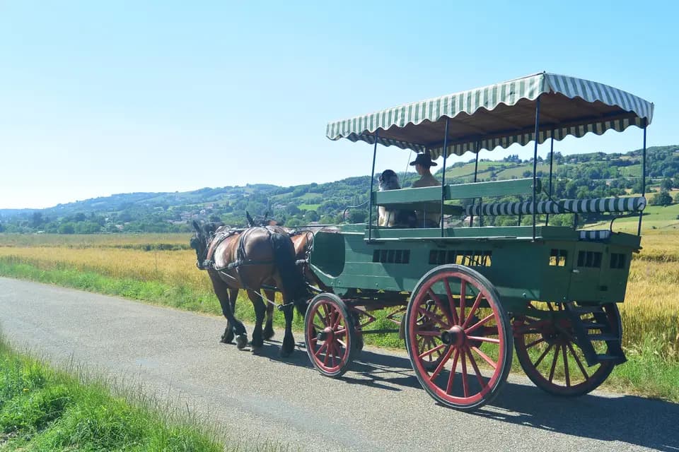 Les Attelages de la Bièvre — photo 2