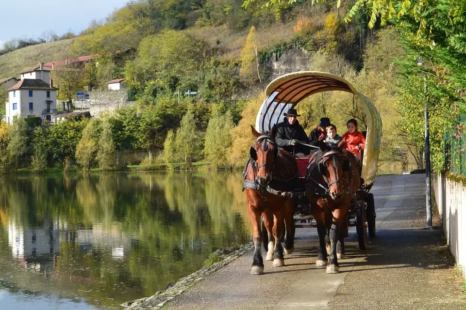 Les Attelages de la Bièvre — photo 1