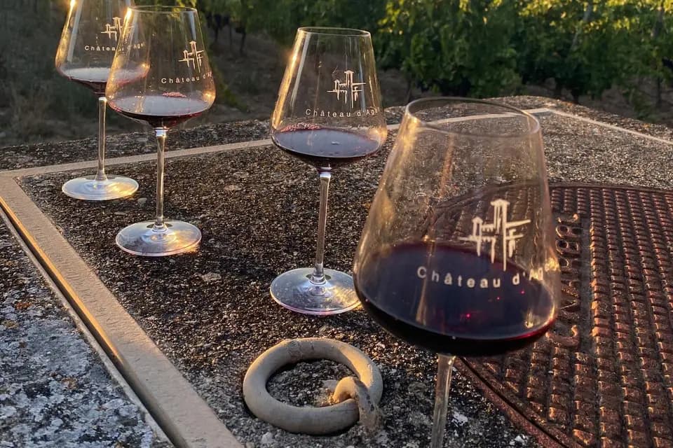 Château d'Agel — photo 5