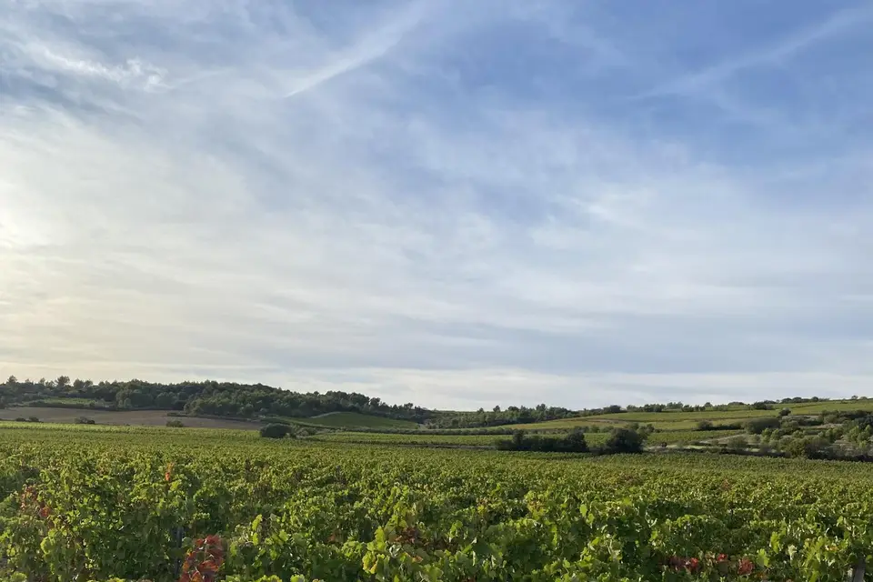 Château d'Agel — photo 1