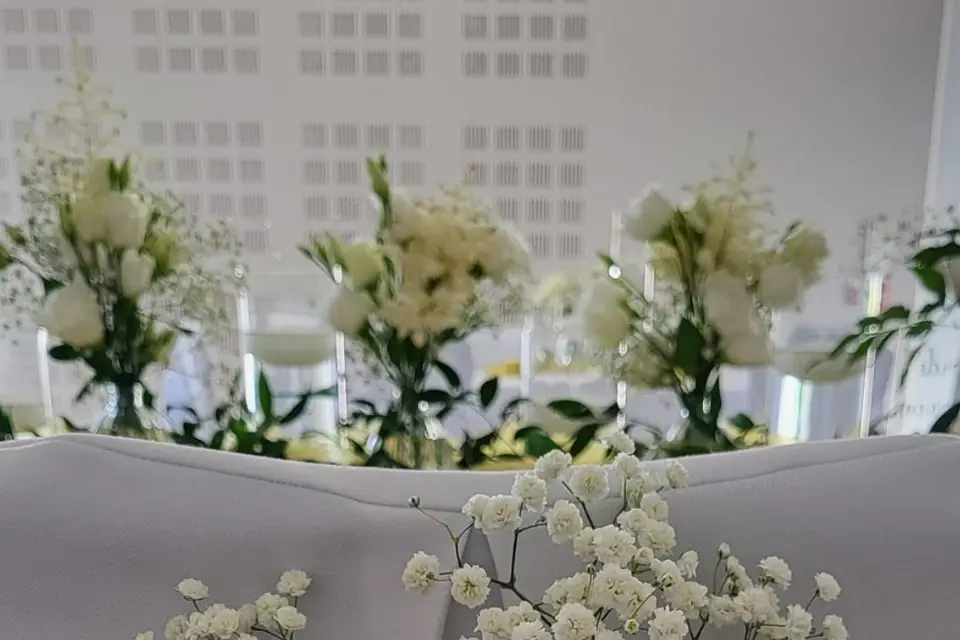 Decorinna — photo 8