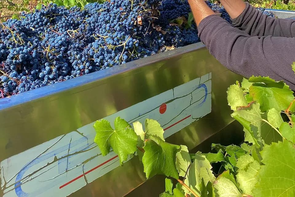 Château d'Agel — photo 2