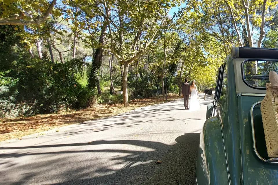 Mademoiselle Riviera — photo 8