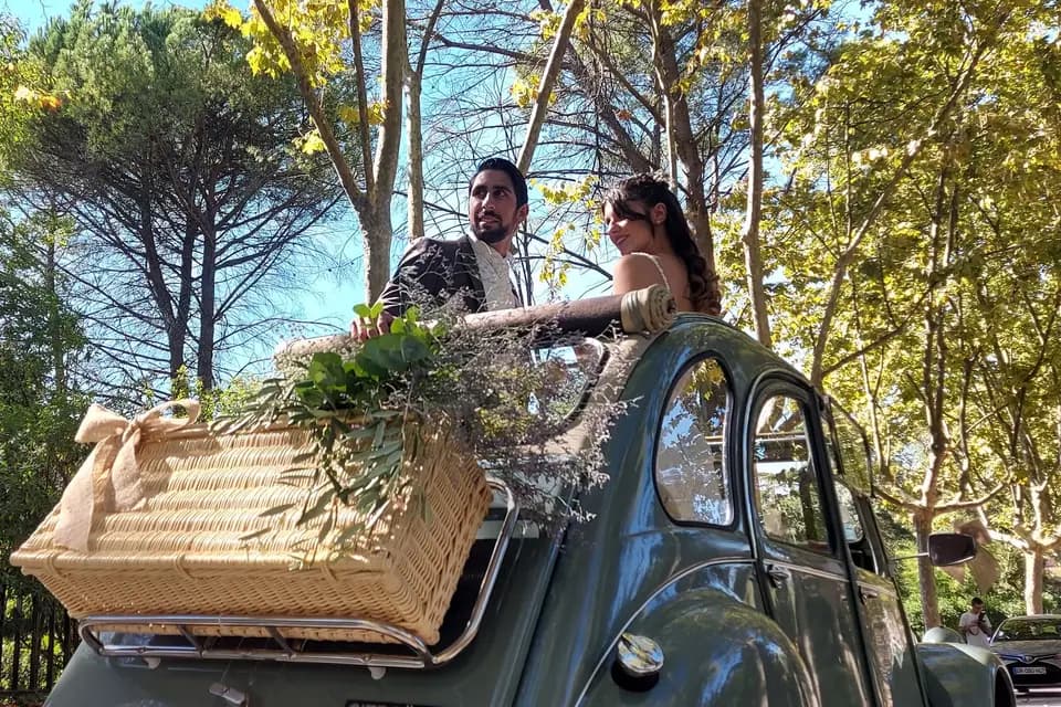 Mademoiselle Riviera — photo 5