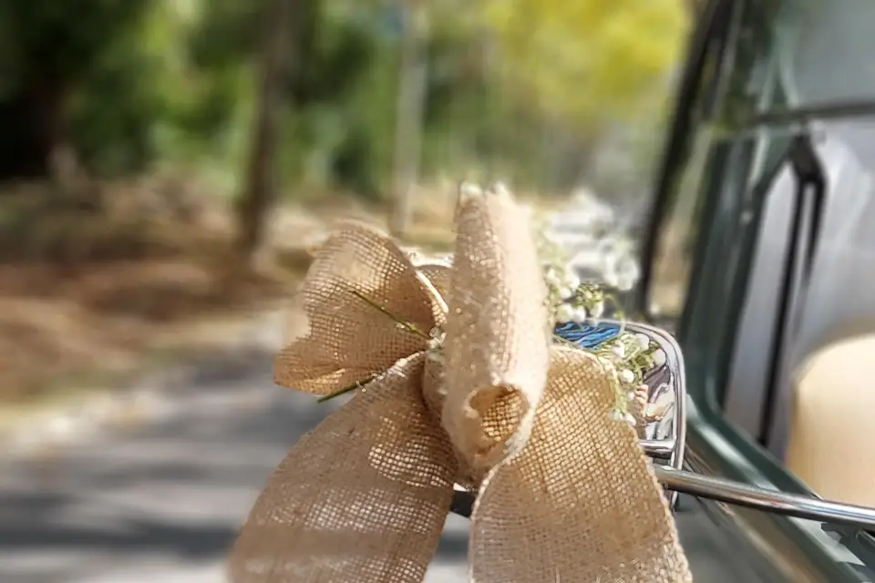 Mademoiselle Riviera — photo 7