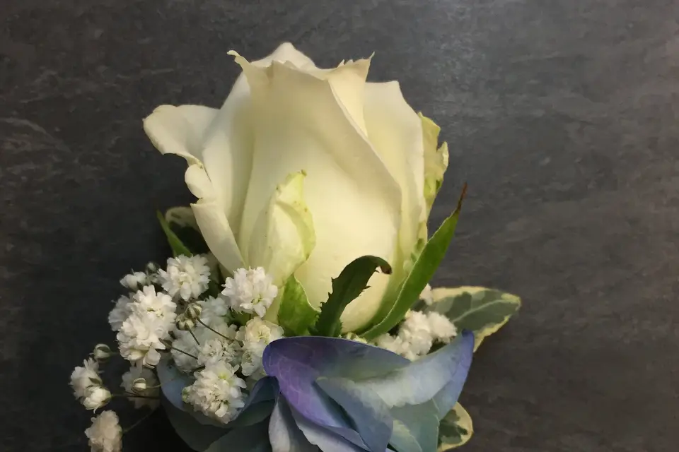 Cocon Floral — photo 3