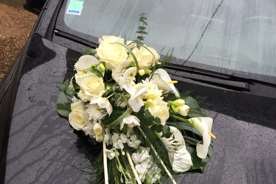 Cocon Floral — photo 4