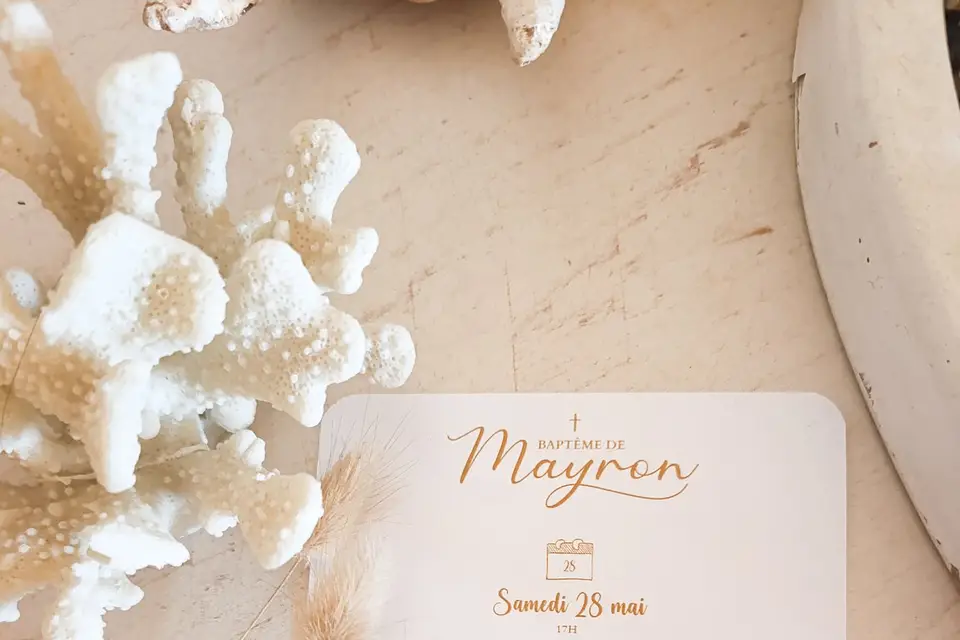 Lili Pinceaux — photo 1