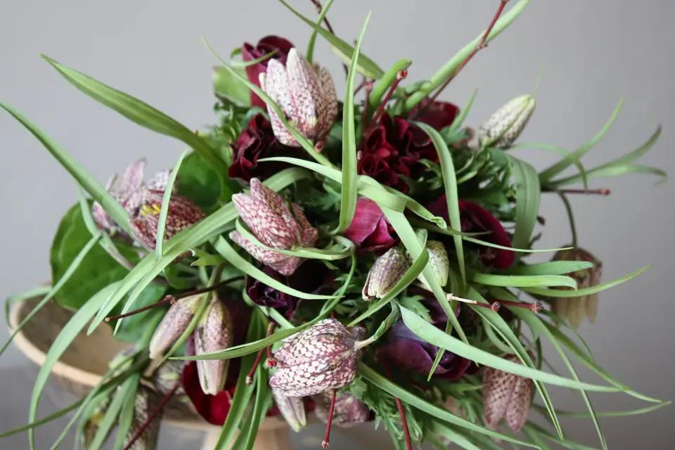 Monsieur B. — photo 2