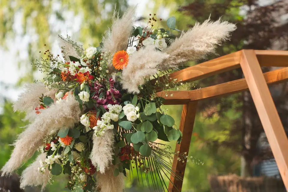 Jilkin Média — photo 8