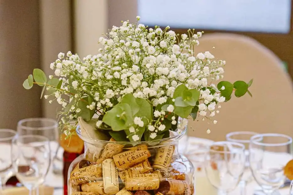 Six Novembre Creations — photo 5