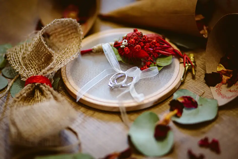 Six Novembre Creations — photo 3