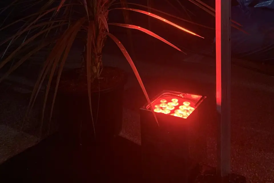 Sono Star — photo 6