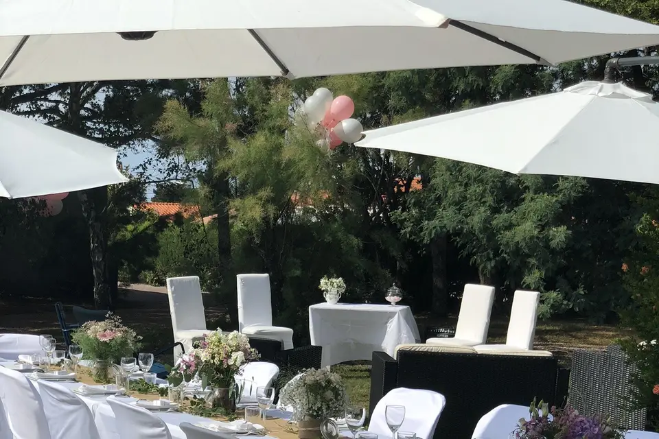 Sono Star — photo 8