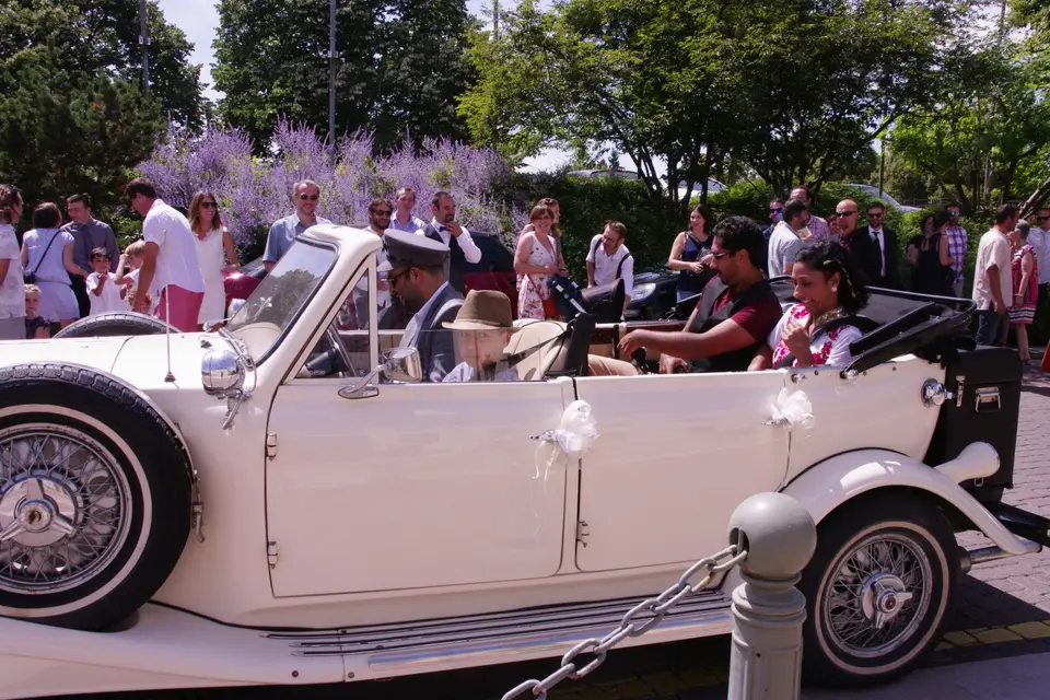 Dream Day Limousine — photo 4