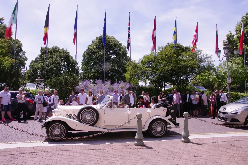 Dream Day Limousine — photo 5