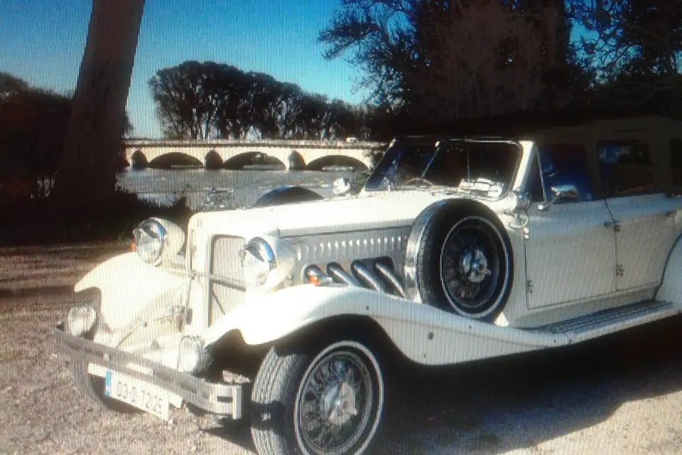 Dream Day Limousine — photo 2