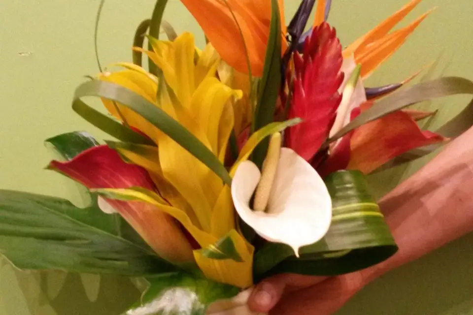 Dany Fleurs — photo 8