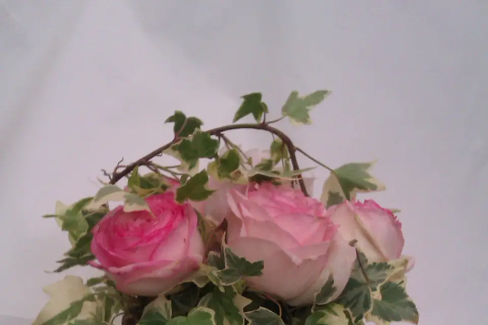 Dany Fleurs — photo 4