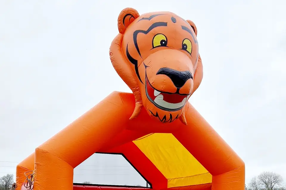 Location & Co — photo 3