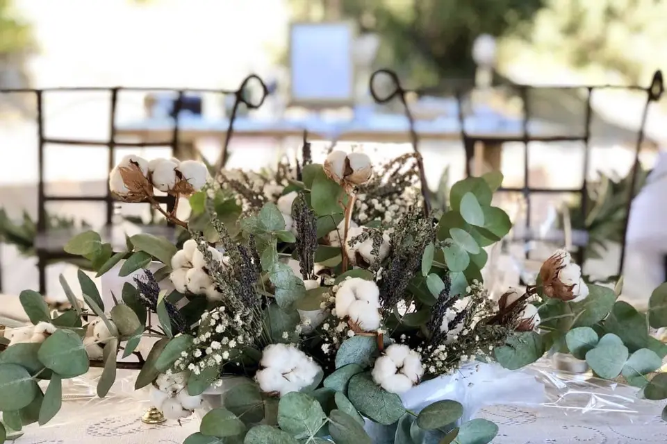 Les Terrasses du Lac — photo 3