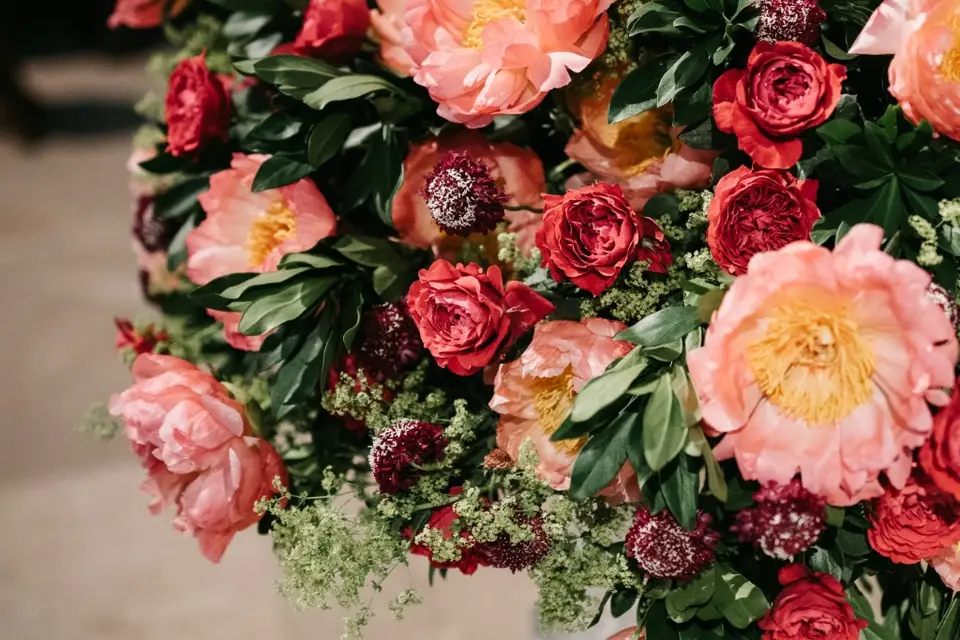 Arts embaumés — photo 5