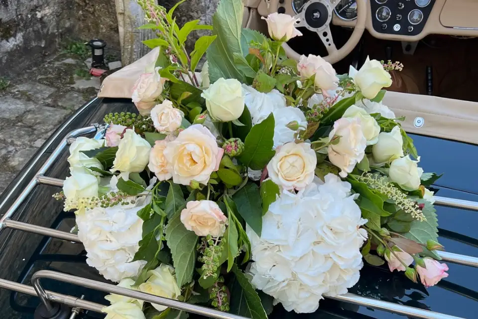 Arts embaumés — photo 8