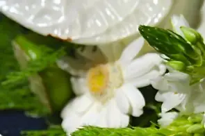 Kaham-Vidéo — photo 4