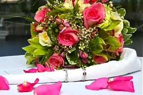 Kaham-Vidéo — photo 7