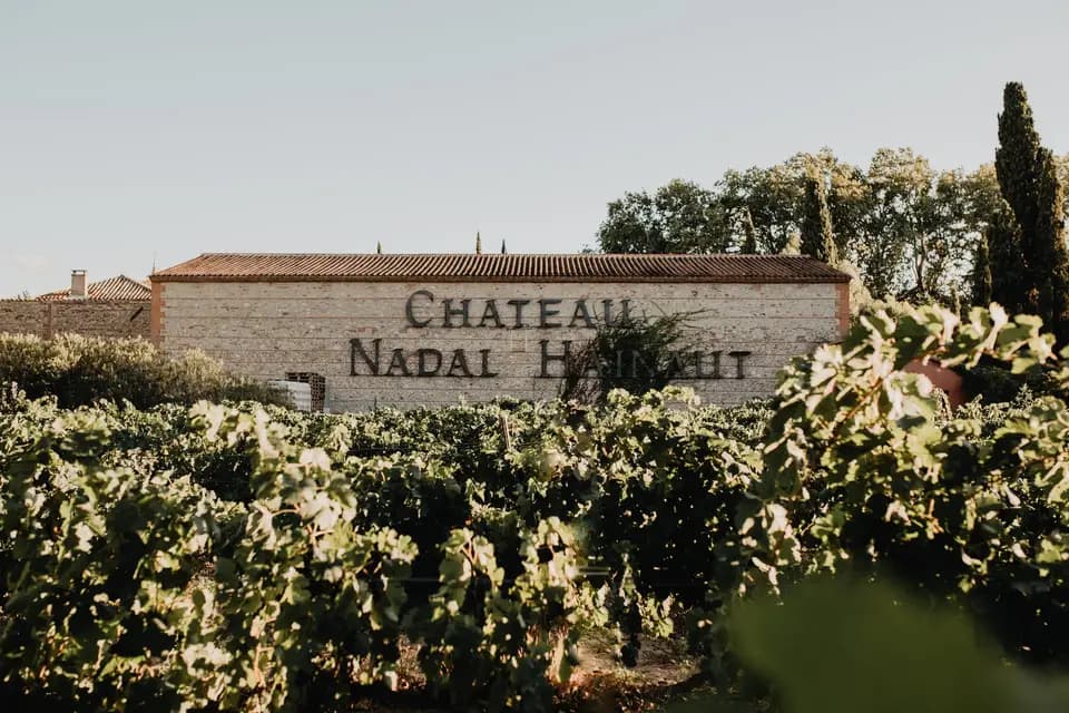 Château Nadal Hainaut — photo 2