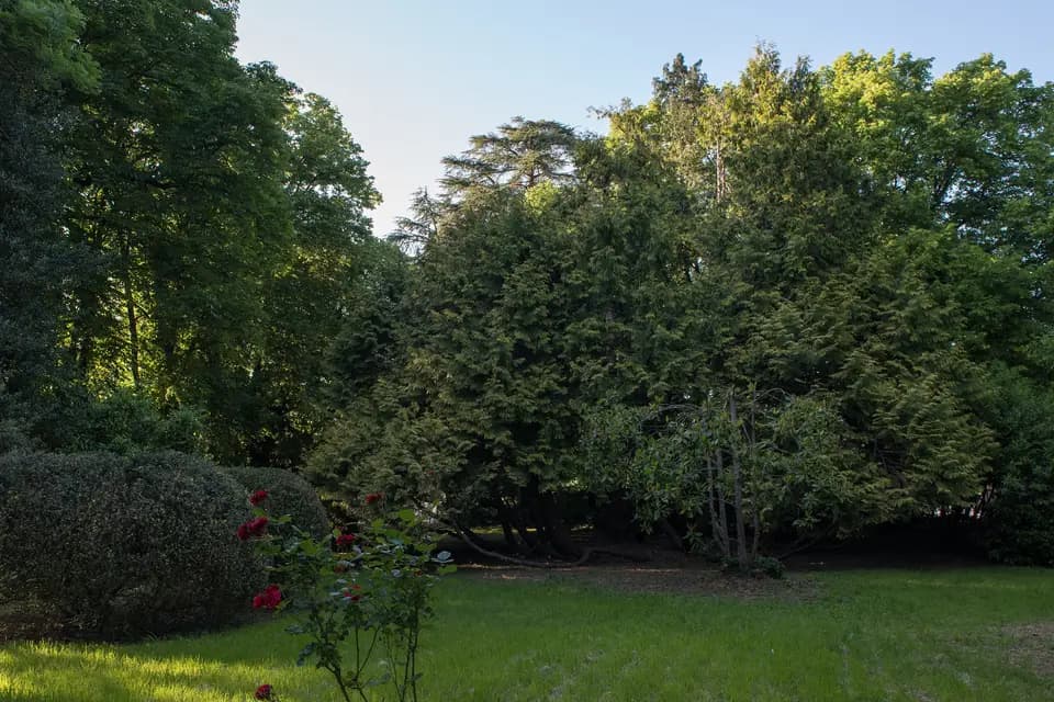 Le Castel — photo 3