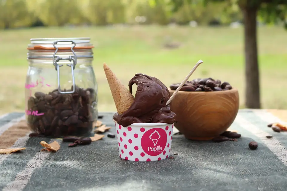 Glacier Papilla — photo 3