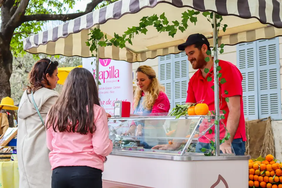 Glacier Papilla — photo 6