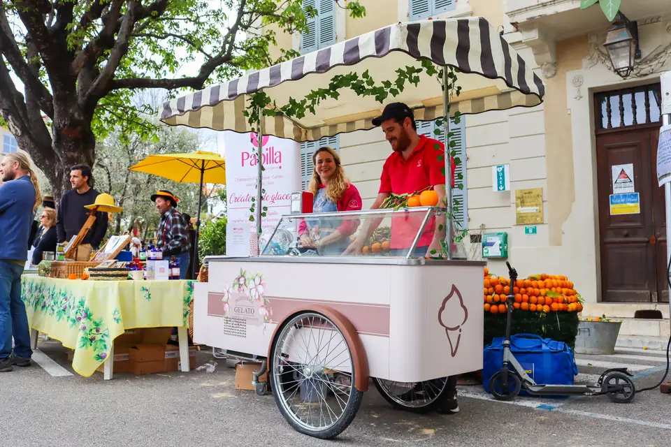 Glacier Papilla — photo 2