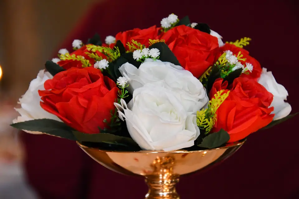 Mademoizelle — photo 5