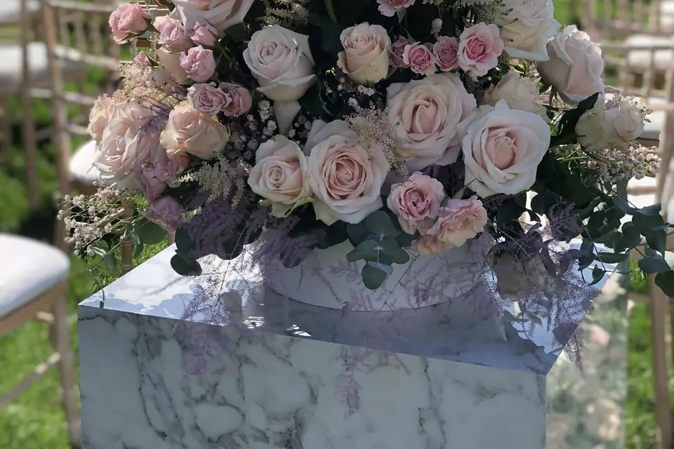 Catherine Alves — photo 6