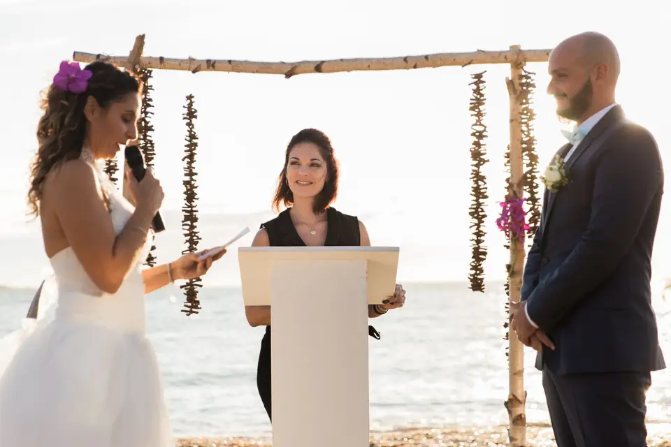 Dream Day — photo 8