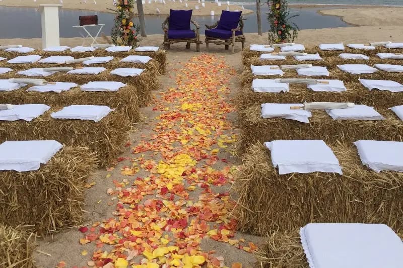 Dream Day — photo 2