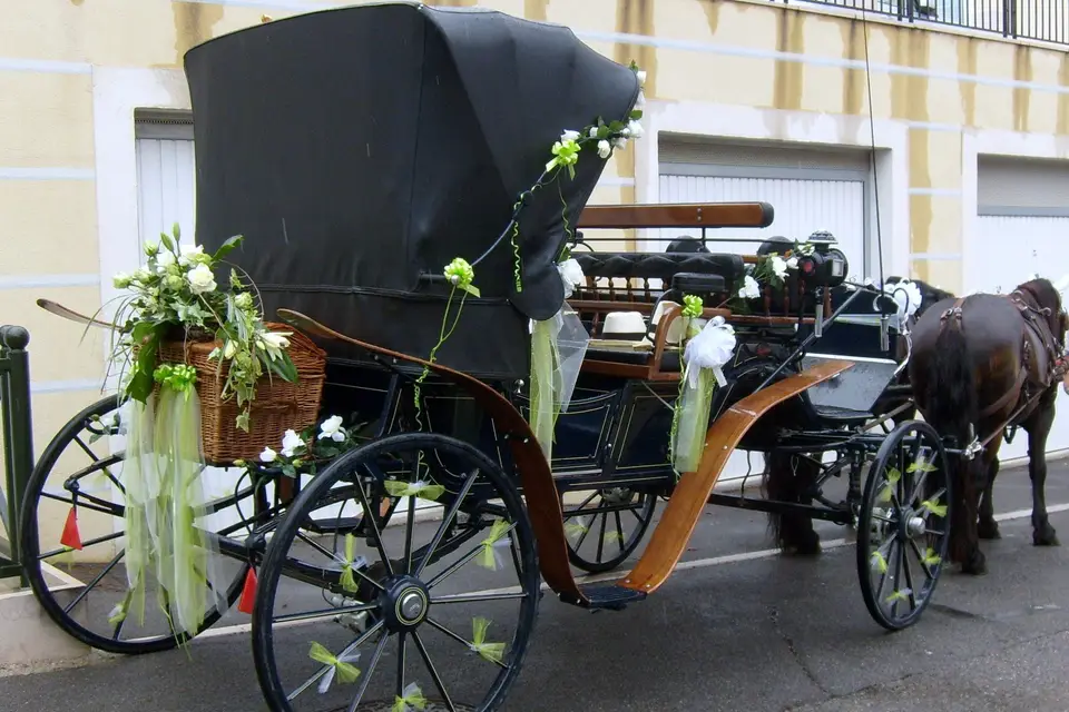 Les Calèches de Mado — photo 2