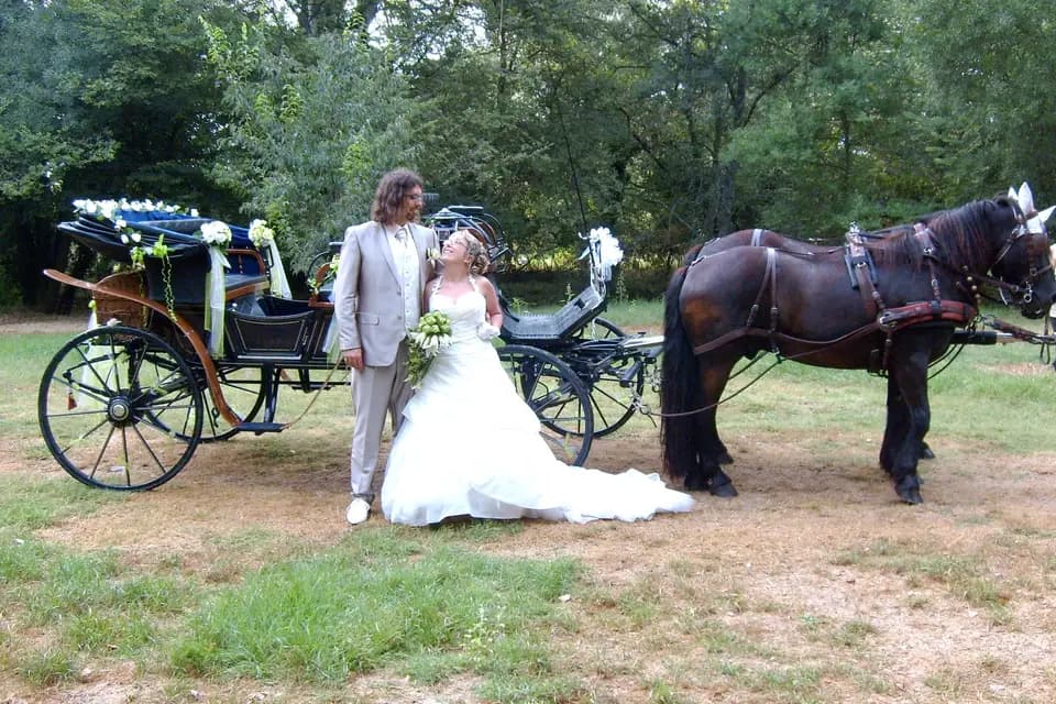 Les Calèches de Mado — photo 3